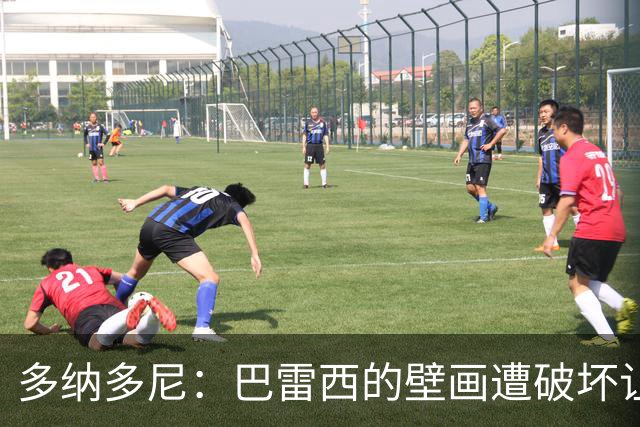 多纳多尼：巴雷西的壁画遭破坏让人愤慨，这种行为令人失望